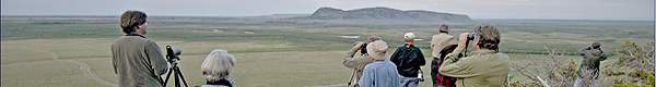 Banner photos by Kate Davis, Raptors of the Rockies. All rights reserved.